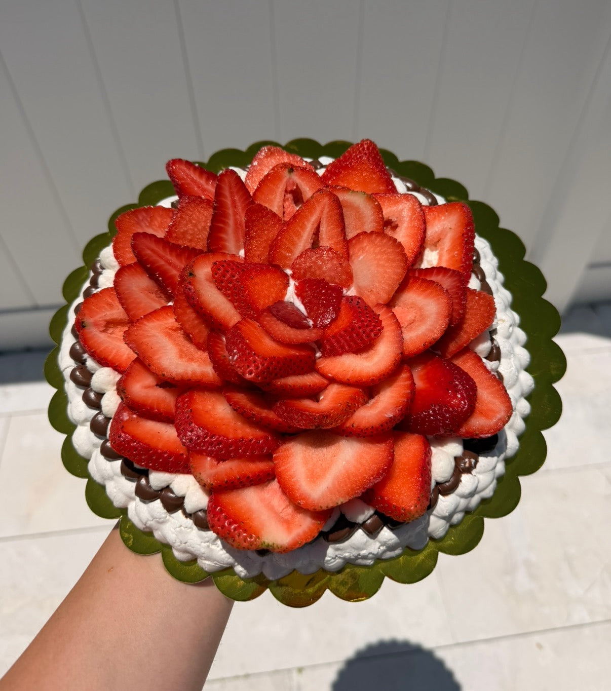 Circle Pavlova